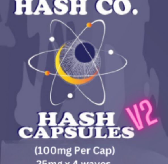 Bee Elevated - Synergy Hash Capsules V2 1000mg