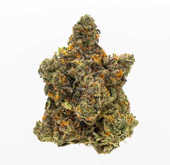 7G Maui Wowie