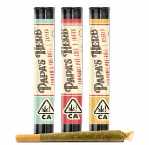 Papa's Herb - 1g Pre-Roll (GMO Cookies)