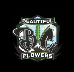 Auraz - FSE By B.C. Beautiful Flowers - 2G