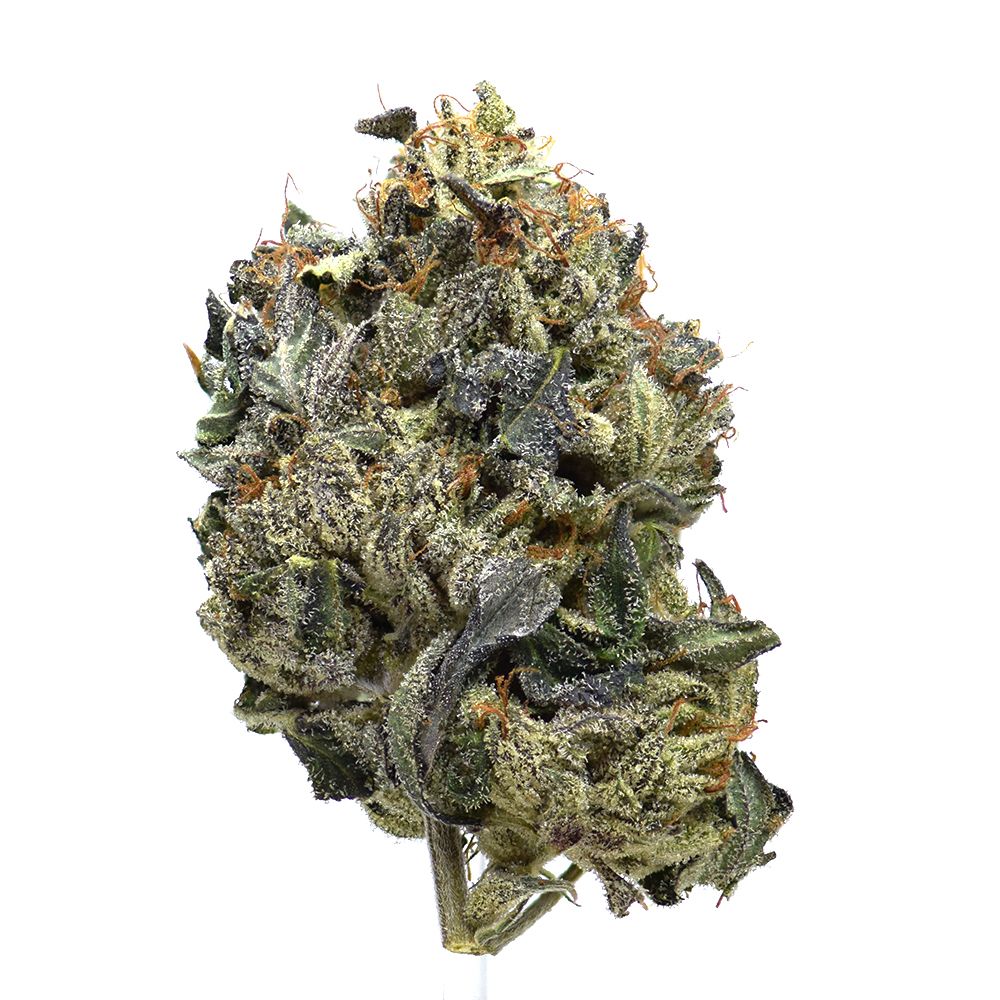 Death Bubba | NEW!