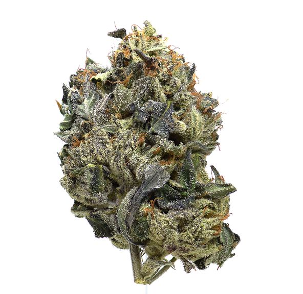 Death Bubba | NEW!