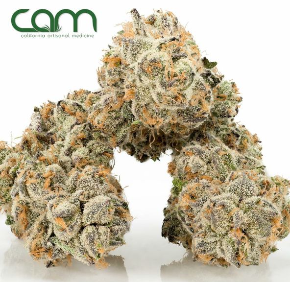 B. Cam 3.5g Premium Flower - Quality 10/10 - TKO