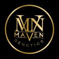 MAVEN - Blueberry Skittles - Eighth