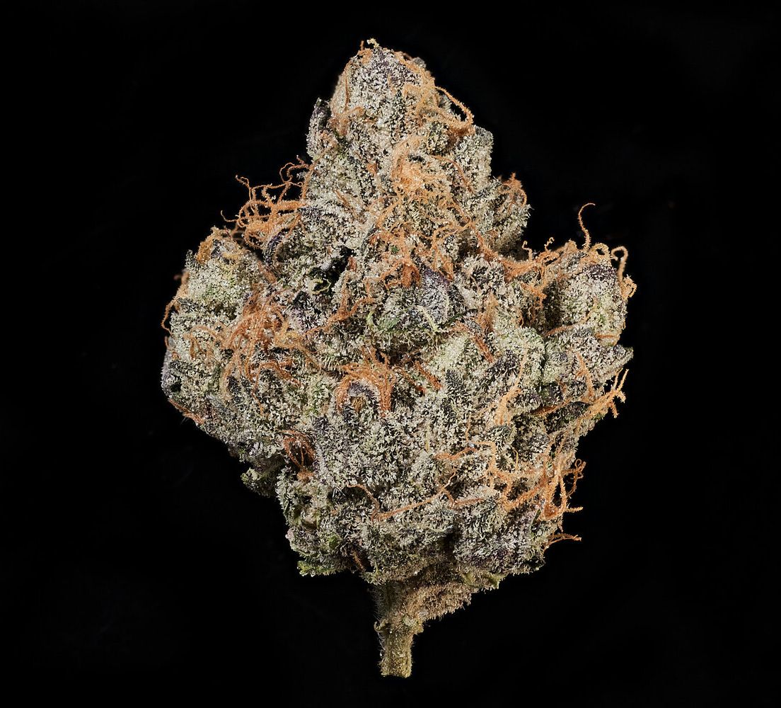 MVN - Tropicana Cookies -Eighth -PP