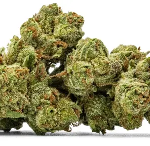 Glass House Farms Astral Cookies - 3.5g Jar