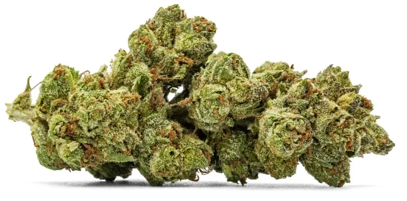 Glass House Farms Astral Cookies - 3.5g Jar