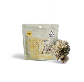 Certified Skunk: Jack Herer