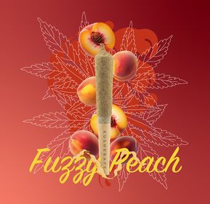 1 x 0.5g Infused Sticky Banger Pre-Roll Sativa Fuzzy Peach by KushKraft