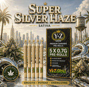 0.7G Pre-Roll: Super Silver Haze (S) 5 Pack