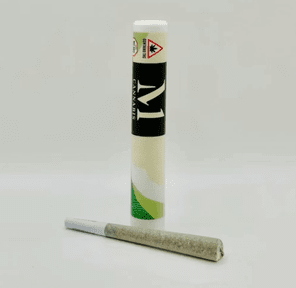 M1 | JOMO (I) | 1g Pre Roll