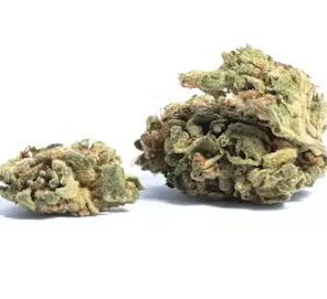 Flower-Grape Gas Gelatti