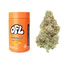 Oakfruitland Super Lemon Haze $90
