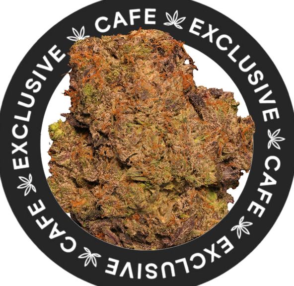 7G CAFE EXCLUSIVES- DOUGHBOY PINK