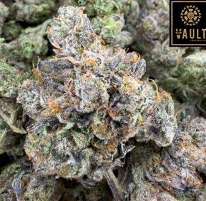 7g - PINK GLADIATOR (AAAA)