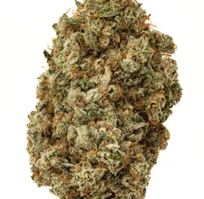 Alien OG