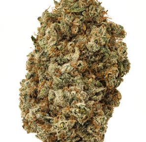 Alien OG
