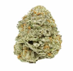 Gelato Mintz $100 oz