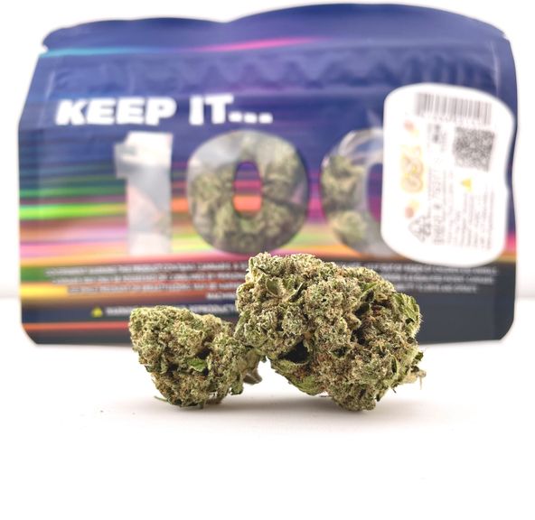 1/8 GSC (29.2%/Hybrid) - Keep it 100