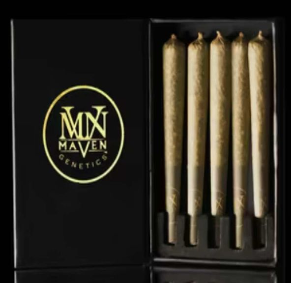 [Maven] Preroll 5 pack - 2.5g - Blueberry Mac