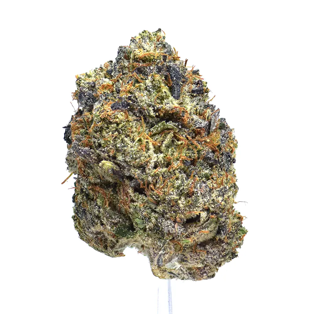 Pink Meltdown | SALE!