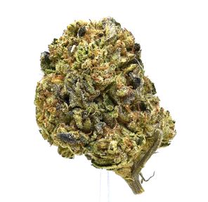 Pink-A-Boo (Greenhouse) | $70/oz