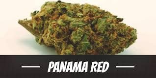 AAA Cannabis Flower - Panama Red 3.5g