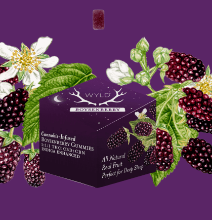 Wyld - Boysenberry 1:1:1 THC:CBD:CBN Gummies - Indica