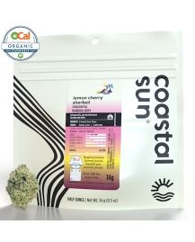 Coastal Sun - Lemon Cherry Sherbet 14g