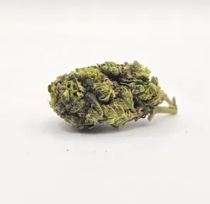 Greenhouse - Remy - 23% - H