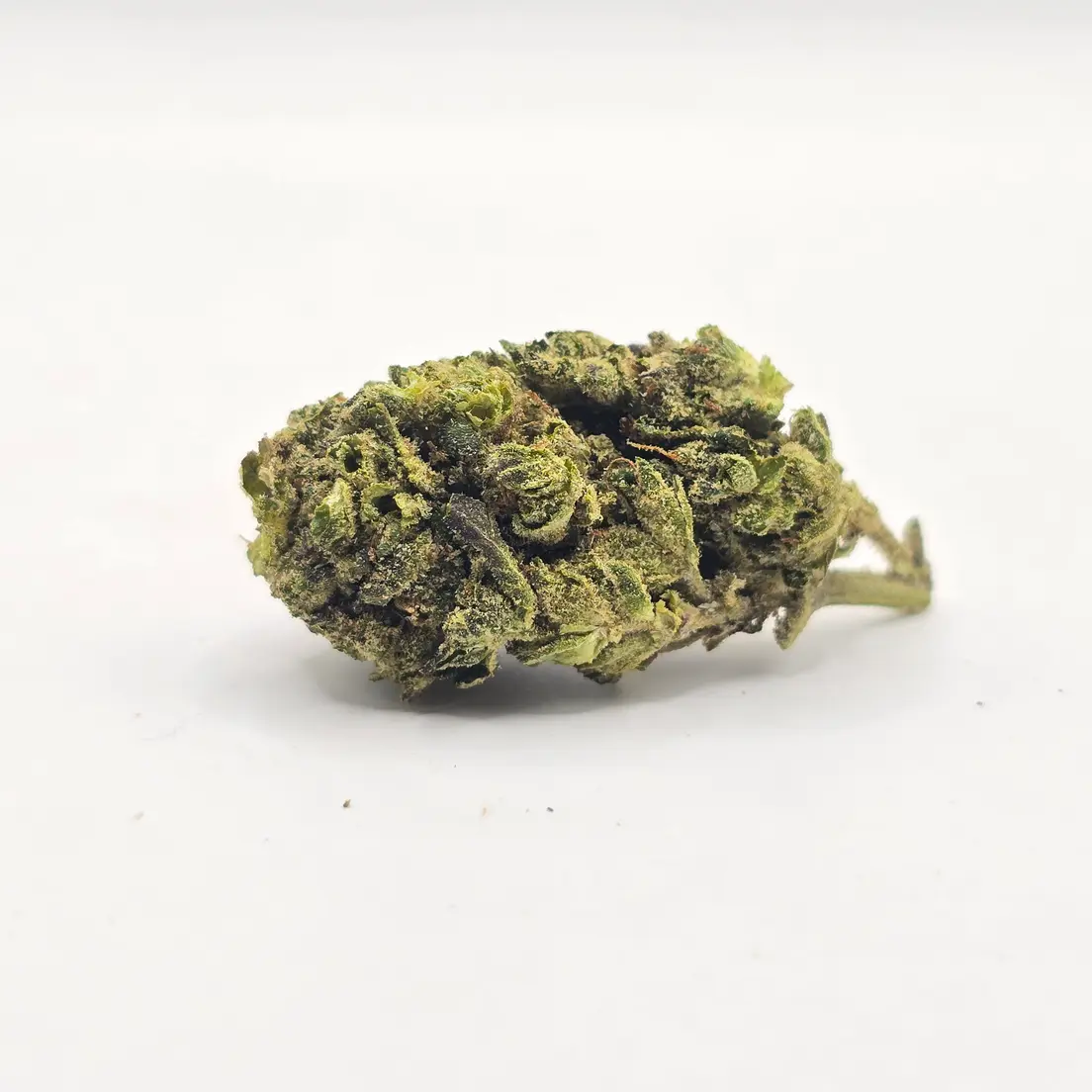 Greenhouse - Remy - 23% - H