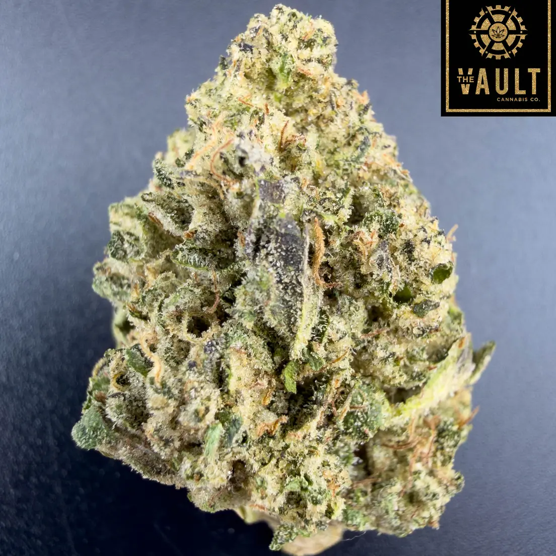 7g - BUBBAS BI*** (AAAA)