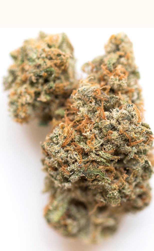 Molecular Farms | Graham Cracker - Flower | 3.5g | Hybrid