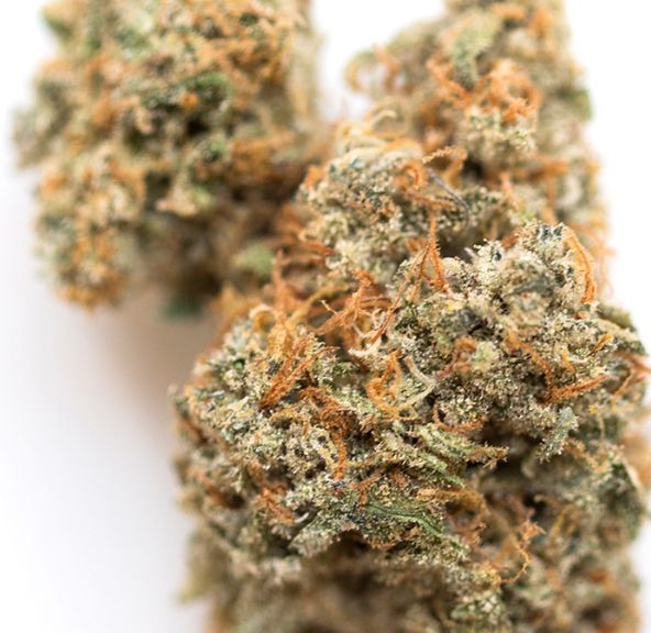 Molecular Farms | Graham Cracker - Flower | 3.5g | Hybrid