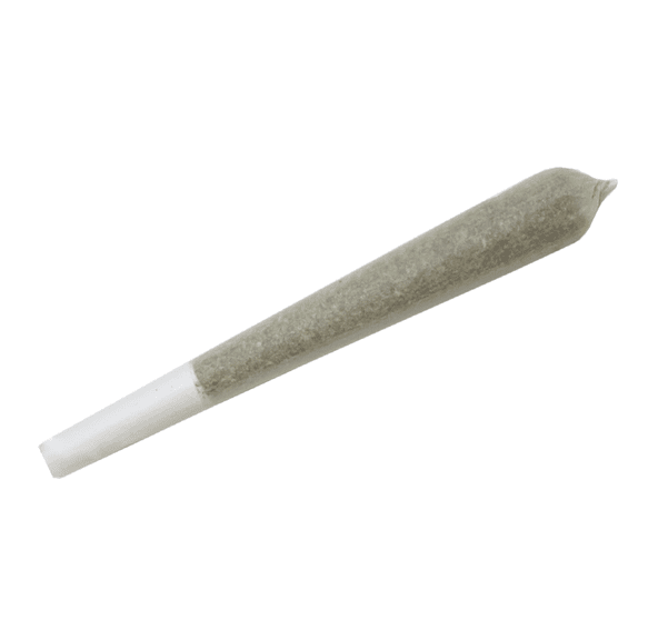 Connected - Tropical Z Preroll (1g)