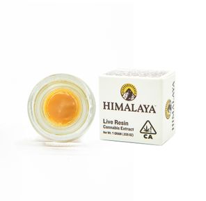 Watermelon Dream - Terp Badder Concentrate 1.00 g