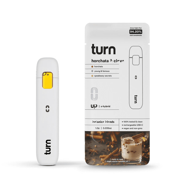 TURN UP AIO BB- 1G HORCHATA & CLOVE