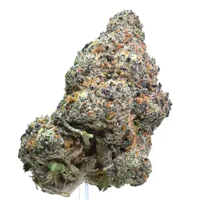 Alien Sherb