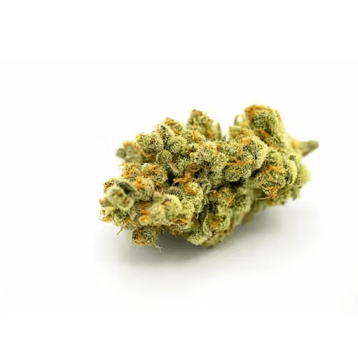 Timewreck - Pre Pack Flower