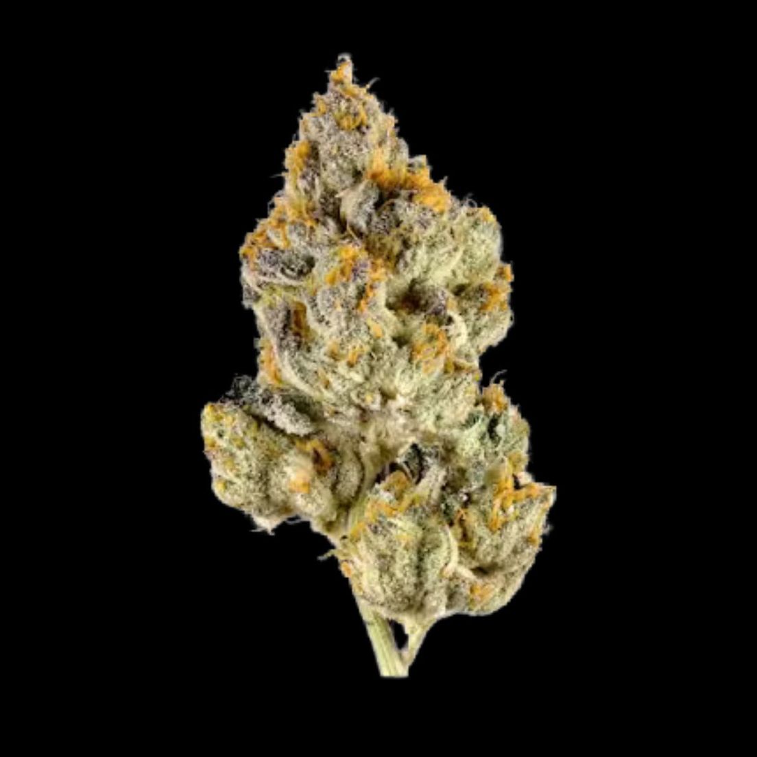 HUMBOLDT GROWERS NETWORK - MELTED STRAWBERRIES 28G SATIVA