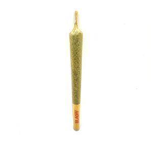 Aquanaut Organics - Pre-roll - Chiesel - Hybrid - 1g