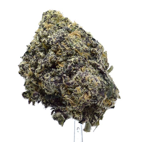Frozen Gelato | $100/oz