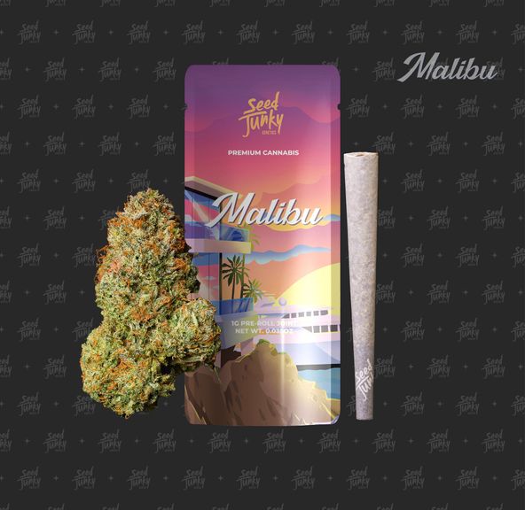 Seed Junky - 1g Pre-Roll (Malibu)