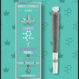 Moonrocks XJ-13
