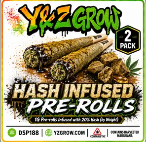 🎉NEW🎉 Hash Infused 1G Pre-Rolls 2 PACK