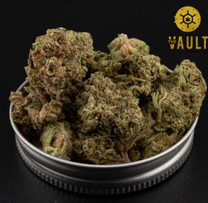 AA | FRUIT ROLL UP ⭐️ NEW ARRIVAL ⭐️