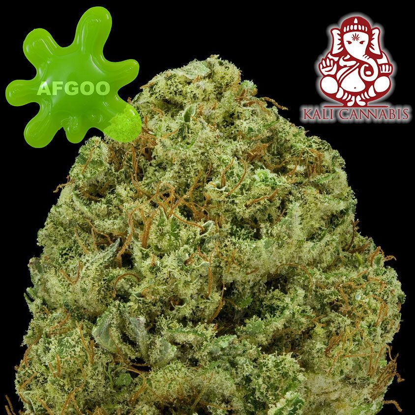 Kali Goo AFGOO