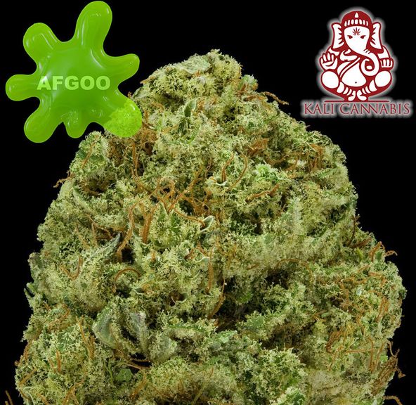 Kali Goo AFGOO