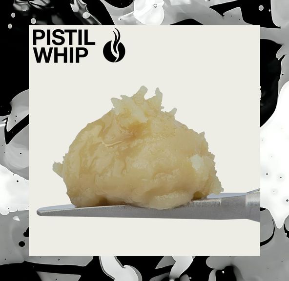 Pistil Whip - Sticky Papaya Live Rosin Badder 1g