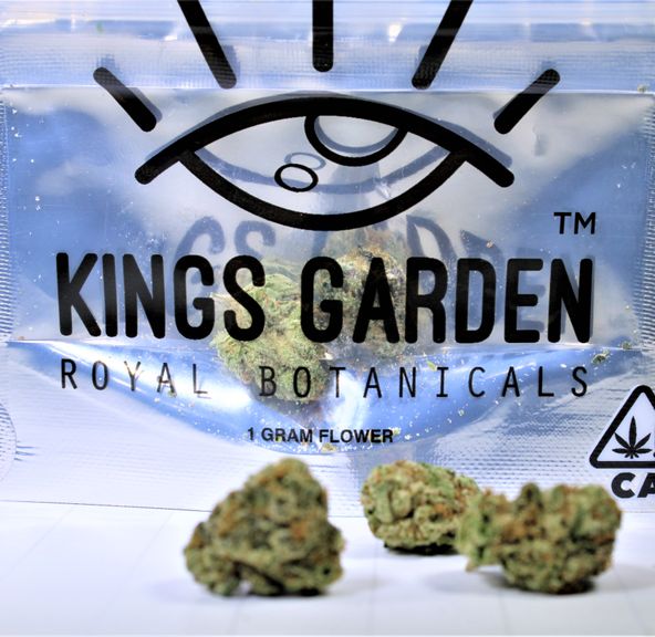 Hasidic Grape - 1g (32.45% THC) Kings Garden